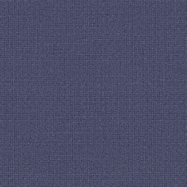 ǰ̹