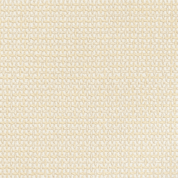 ǰ̹