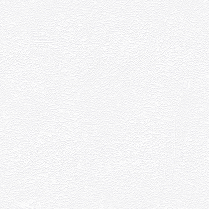ǰ̹