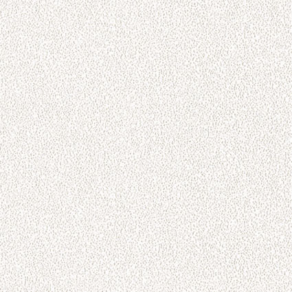 ǰ̹