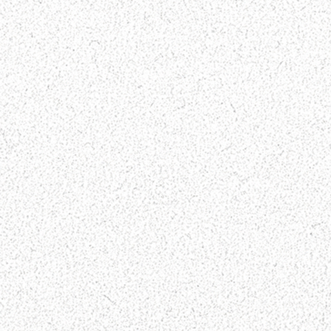 ǰ̹