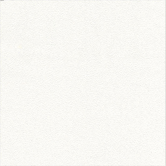 ǰ̹
